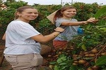 GREEN FARM FULL DAY TOUR WITH LOCAL FAMILY IN HANOI