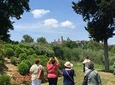 Pisa and San Gimignano Tour from Florence 