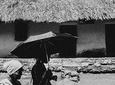 private tour to palenque