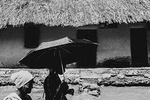 private tour to palenque