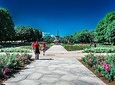 Oslo Highlights Private Walking Tour