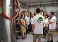 Noosa Brewery Trail