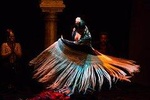 Flamenco Dance Museum: SHOW ONLY in Sevilla