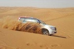 Sunrise Red Dunes Drive with Sand Boarding & Camel Ride 