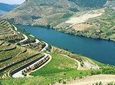 Private Douro Valley Food and Wine Tour From Porto