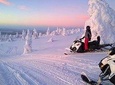 Snowmobile Safari