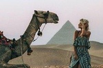 half day Giza pyramids from cairo giza hotels