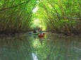 Khao Lak Mangrove Explorers