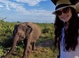 Udawalawe Safari Day Trip from Kalutara & Wadduwa- All Inclusive