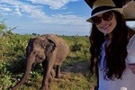 Udawalawe Safari Day Trip from Kalutara & Wadduwa- All Inclusive