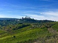 Siena and San Gimignano Private Tour from Florence