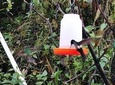 EXCURSION TO YANACOCHA RESERVE- BIRD WATCH 