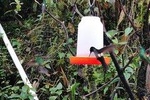 EXCURSION TO YANACOCHA RESERVE- BIRD WATCH 