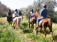Horseback riding around Doñana