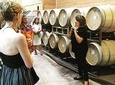 Taste of Fredericksburg Wine Tour from San Antonio