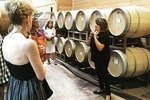 Taste of Fredericksburg Wine Tour from San Antonio