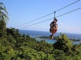 Shore Excursion: Extreme Zip Line with Monkey/Sloths and Beach 
