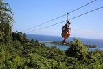 Shore Excursion: Extreme Zip Line with Monkey/Sloths and Beach 