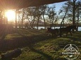 Horseback Riding in Escondido lake
