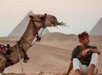 Giza pyramids ,sphinx, Sakkara, Memphis and Dahshur day tour