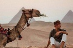 Giza pyramids ,sphinx, Sakkara, Memphis and Dahshur day tour