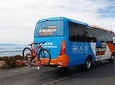 Hobart Hop-On Hop-Off Bus & kunanyi/Mt Wellington Tour