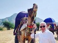 Private 9 Days Heritage Tour of Rajasthan By Car & Driver