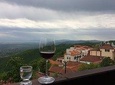Organic Wine Private Day Trip to Wine Region Kakheti with Lunch and Tastings
