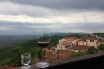Organic Wine Private Day Trip to Wine Region Kakheti with Lunch and Tastings