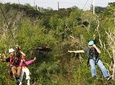 Full Zipline Tour (6 lines)