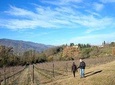 Hike & Chianti Wine Tour