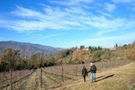 Hike & Chianti Wine Tour