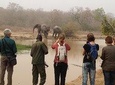 3 Days Grassroots Safari To Mole