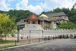 Kandy & Nuwara Eliya With Your Own HIGHLIGHTS From Negombo(2DaysTransportOnly)