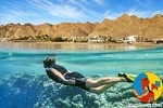 Boat Trip Snorkeling and Diving in Tiran Island Sharm el Sheikh