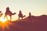 Sunset or Sunrise Camel ride in the Sahara Desert of Douz