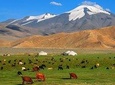 Best of Mongolian tour 7 days 