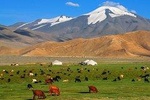 Best of Mongolian tour 7 days 