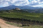 Brunello Bike Tour