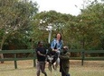 Ostrich Farm from Nairobi
