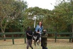 Ostrich Farm from Nairobi