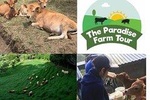 Visit a sustainable farm