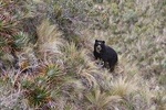 EXCURSION TO ANTISANILLA RESERVE