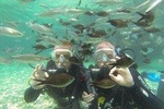 Scuba Diving from Fethiye