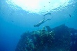 Discover Scuba Diving in Tulamben
