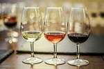 Family Winery , Wine Factory , Full Signaghi City and Lunch In Family Restourant