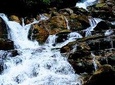 Kanneliya Rain Forest Tour