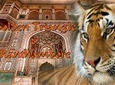 Private 6 Days Golden Triangle Tour with Ranthambore Jungle Safari