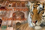 Private 6 Days Golden Triangle Tour with Ranthambore Jungle Safari