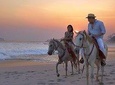 Horseback Riding in Djerba Lagoon